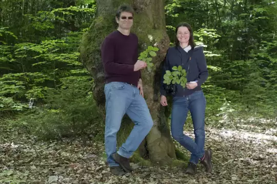 Zwei Personen stehen in einem lichten Mischwald und halten Buchenzweige in den Händen
