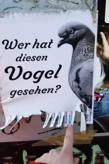 Papierplakat mit einem Taubenkopf im Profil und eingeschnittenen Abreißzetteln mit Kontaktadresse am unteren Rand