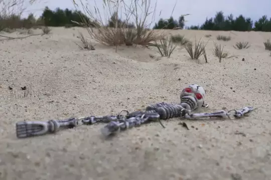 Ein kleines Skelett-Modell liegt mit dem Rücken auf einem Sandhügel