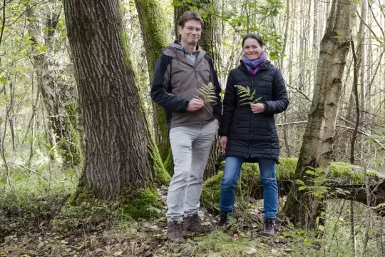 Jürgen Eggers und Kristina Basenau machen Pause auf einer Tour durch die Kiesteiche bei Oldendorf. Zwei Personen stehen neben einer großen Pappel mit Farnzweigen in den Händen