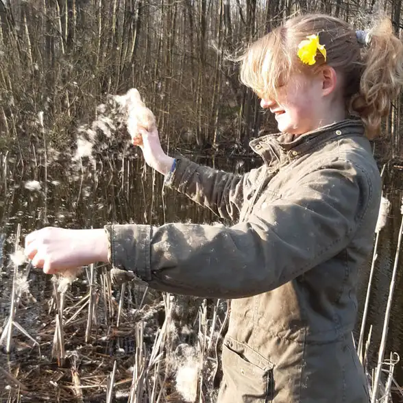 Ein Mädchen zerpflückt die Samenfäden einer Sumpfpflanze, die durch die Luft wirbeln